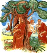 点击看大图及经文